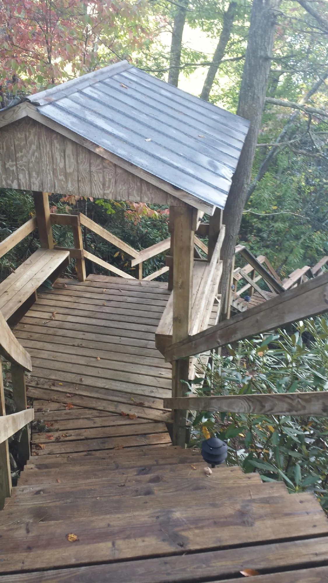 Metal roofed shelter over wooden steps on a wooded walkway — Skylight Repair & Installation work by our crew in Gales Creek