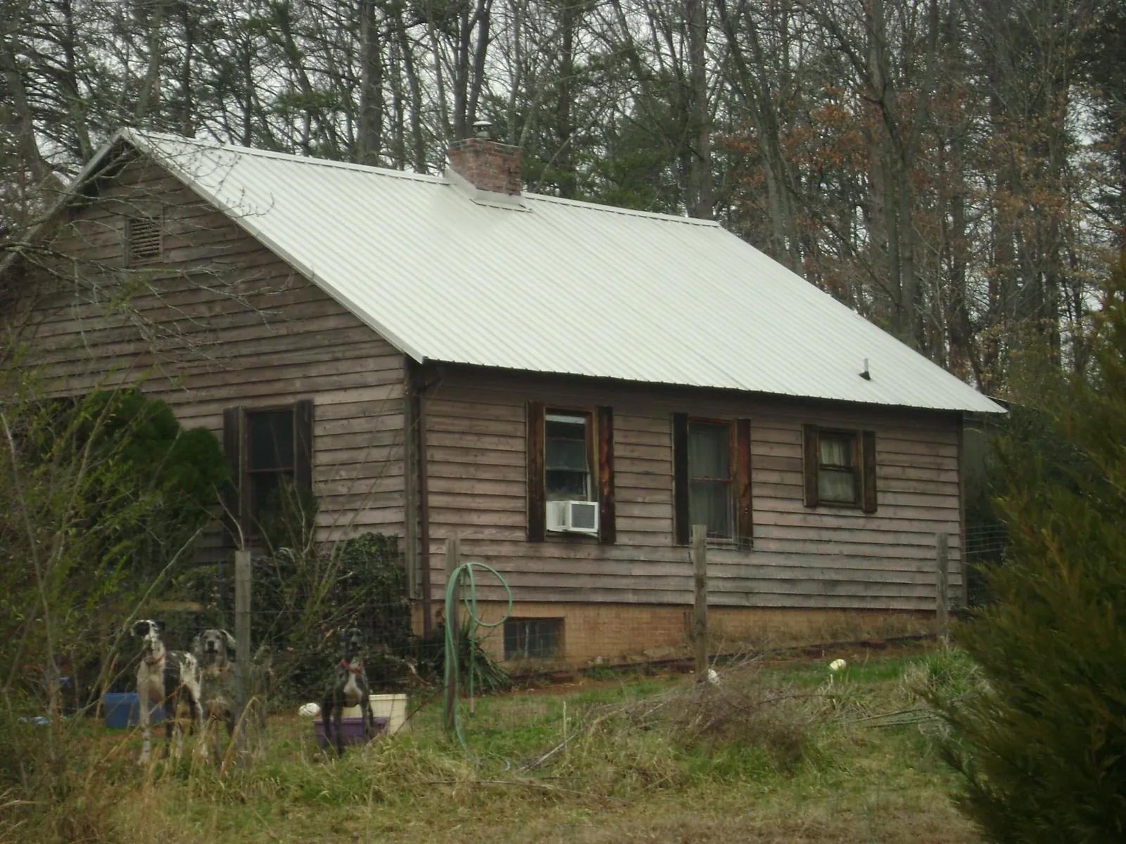 White metal roof on an old wood sided farmhouse, from a Metal Roof Installation job in Gales Creek